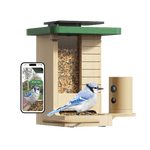 Birdfy Feeder Wood – Mangeoire à Oiseaux Intelligente en Bois avec Caméra