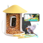 Birdfy Feeder avec panneau solaire - Mangeoire à Oiseaux avec Caméra