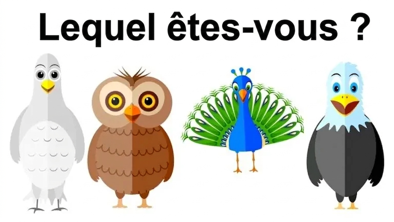 Test de personnalité « Oiseau libre » :  Quel oiseau suis-je ?