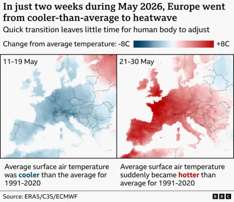 Comment aider les oiseaux à survivre à la canicule européenne de 2026