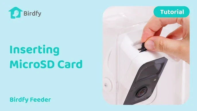 how to use microsd card with Birdfy devices