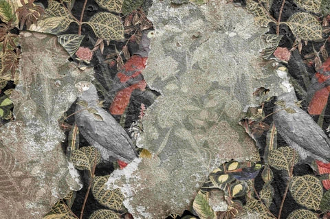 signification oiseau dans la maison