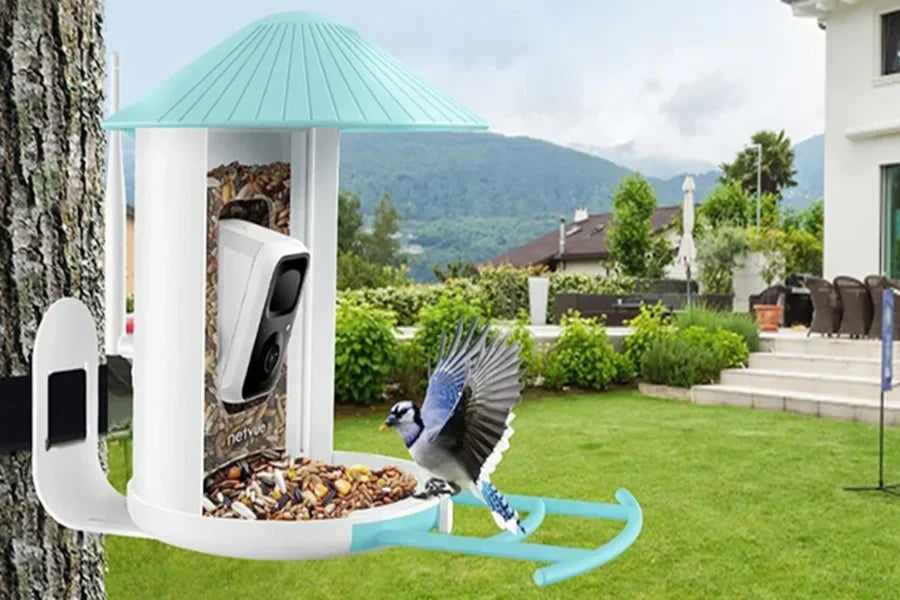 Qu’est-ce qu’une mangeoire intelligente pour oiseaux