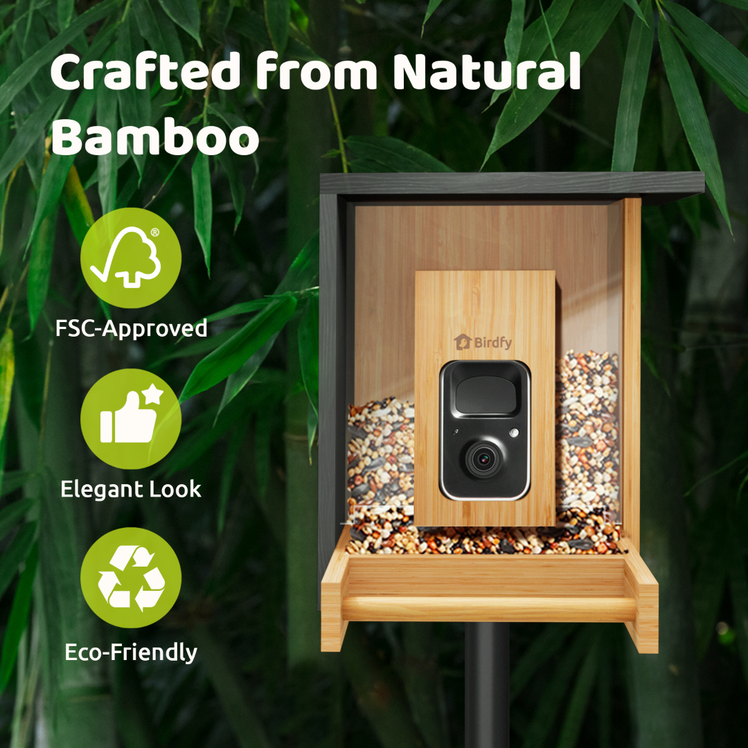 Birdfy Feeder Bamboo Mini - Bird Feeder Avec Caméra