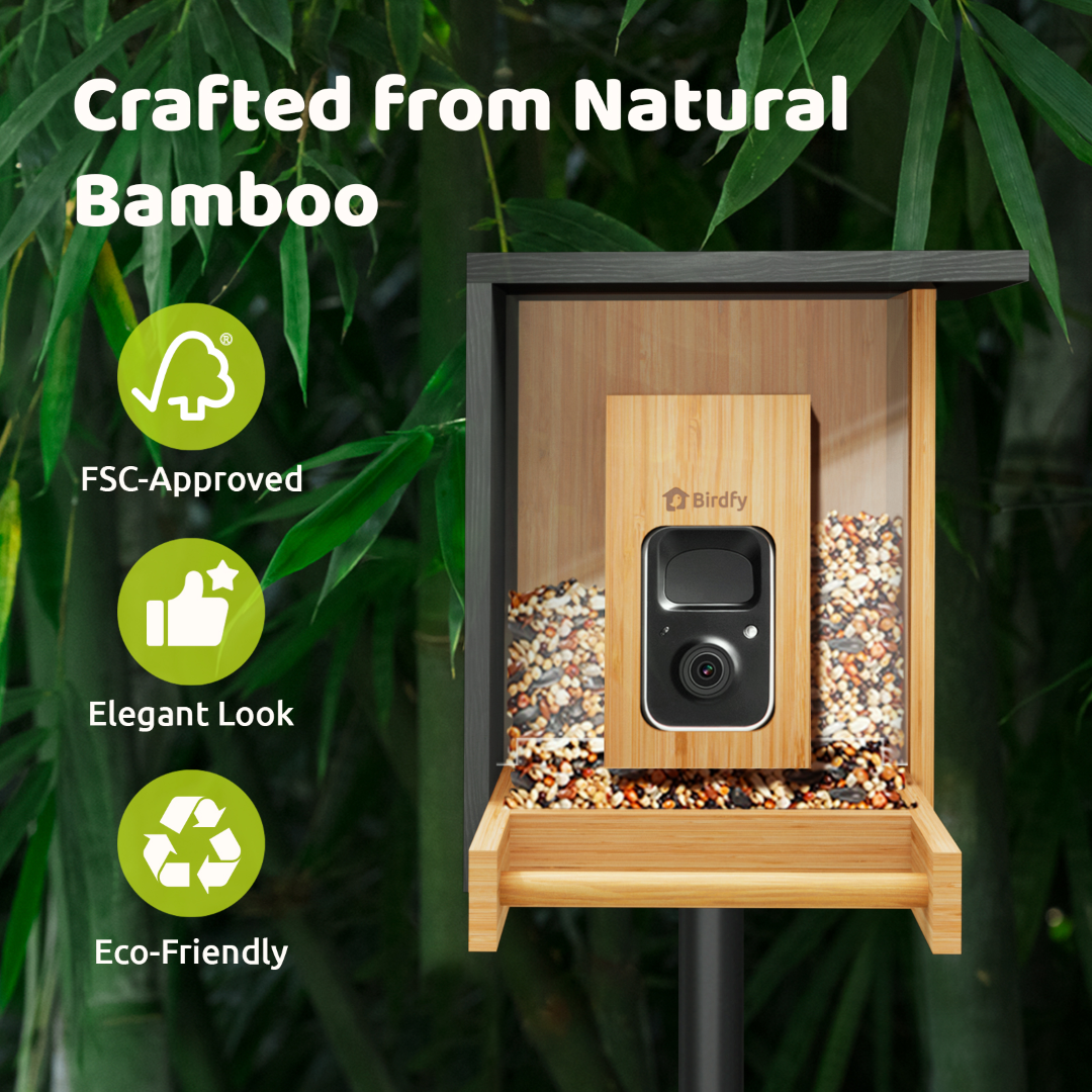 Birdfy Feeder Bamboo Mini - Mangeoire intelligente en matériau éco-responsable