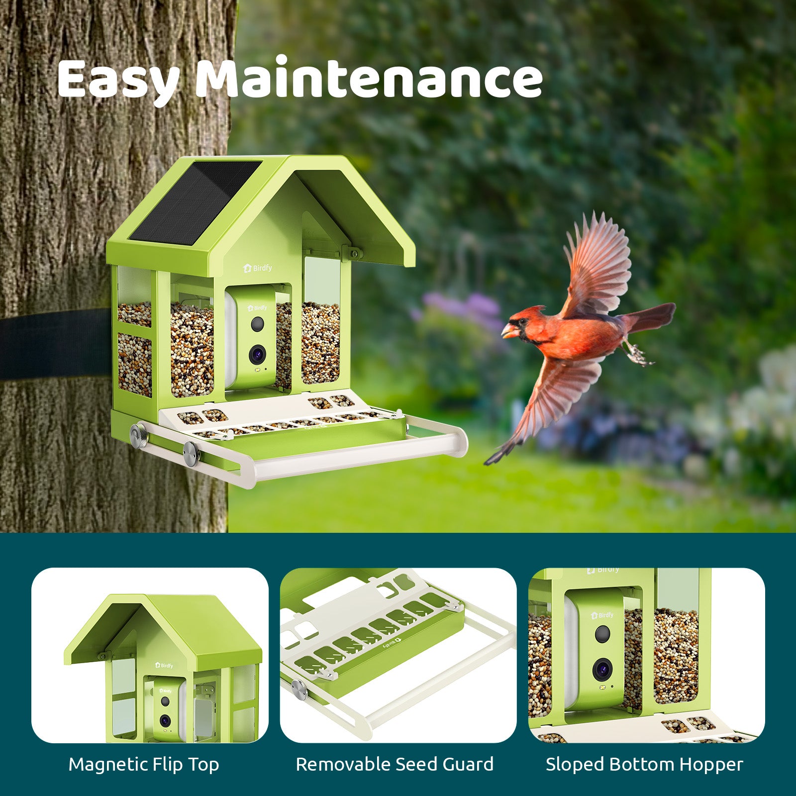 Birdfy Feeder Metal - Mangeoire à Oiseaux avec Caméra