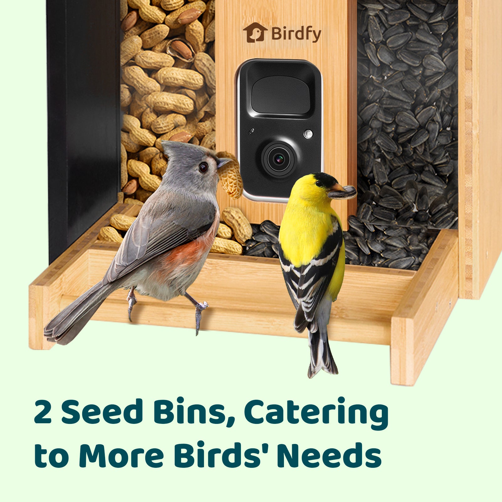 Birdfy Feeder Bamboo Mini - Mangeoire intelligente en matériau éco-responsable