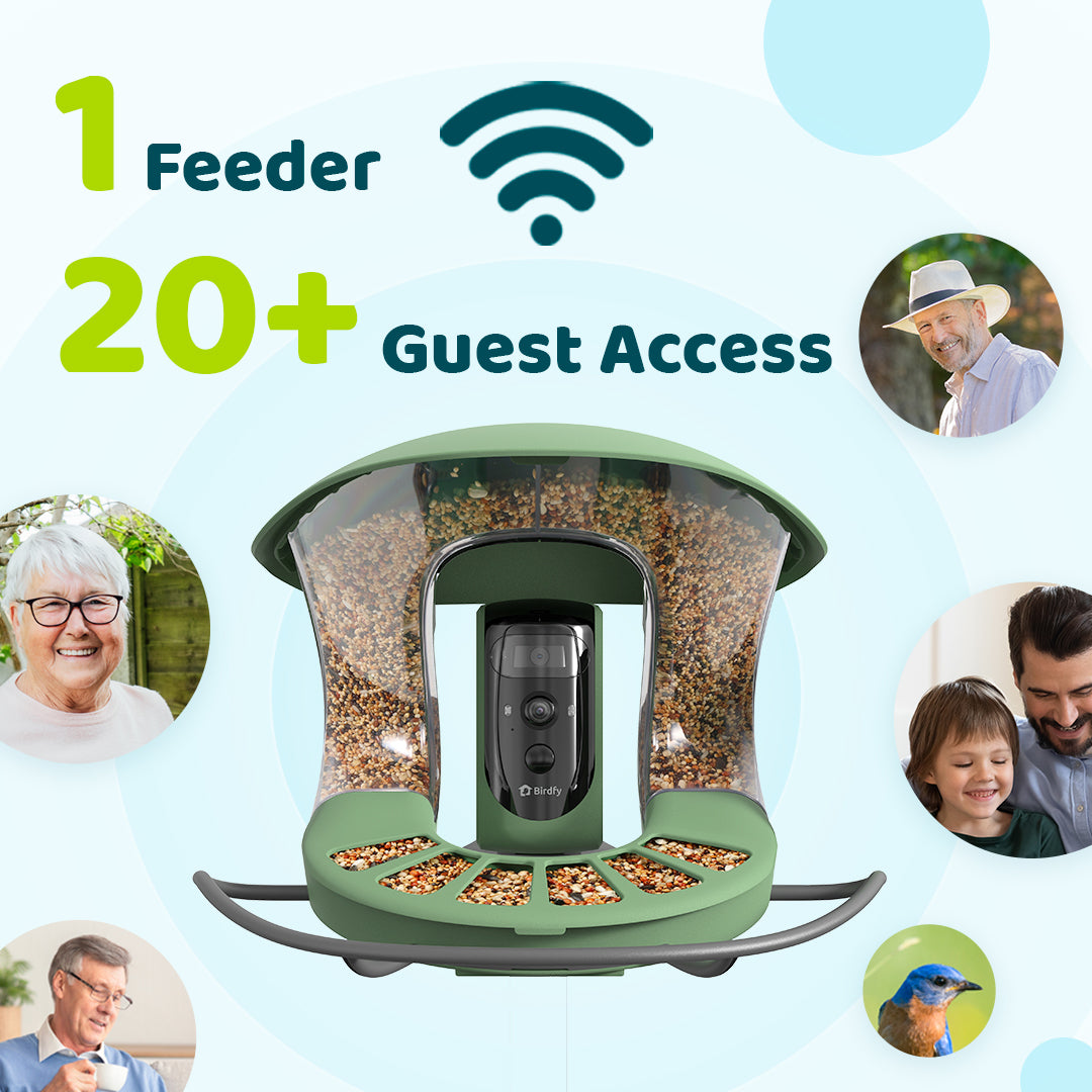 Birdfy Feeder 2 Pro - Mangeoire pour oiseaux avec Caméra HD