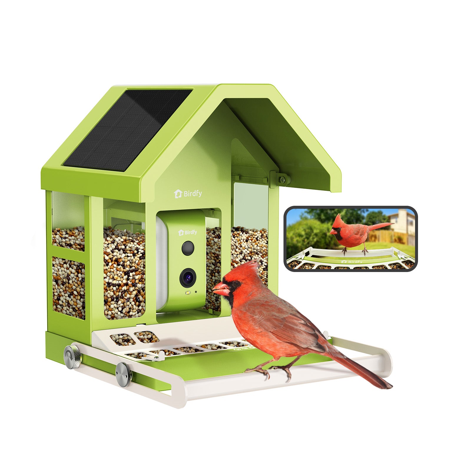 Birdfy Feeder Metal - Mangeoire à Oiseaux avec Caméra