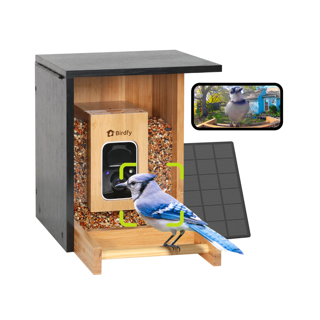 Birdfy Feeder Bamboo Mini - Mangeoire pour Oiseaux avec Caméra Intelligente Intégrée