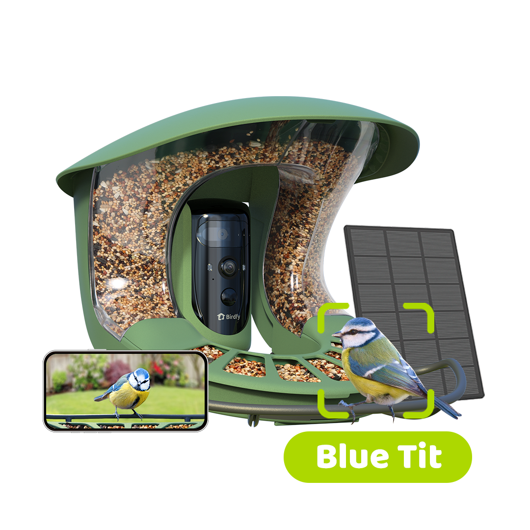 Birdfy Feeder 2 Pro - Bird Feeder Caméra