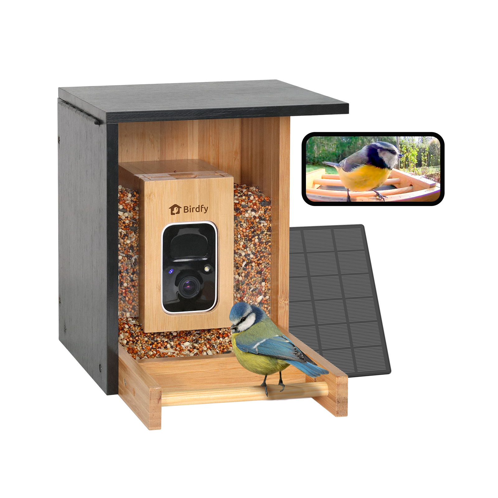 Birdfy Feeder Bamboo Mini - Mangeoire intelligente en matériau éco-responsable