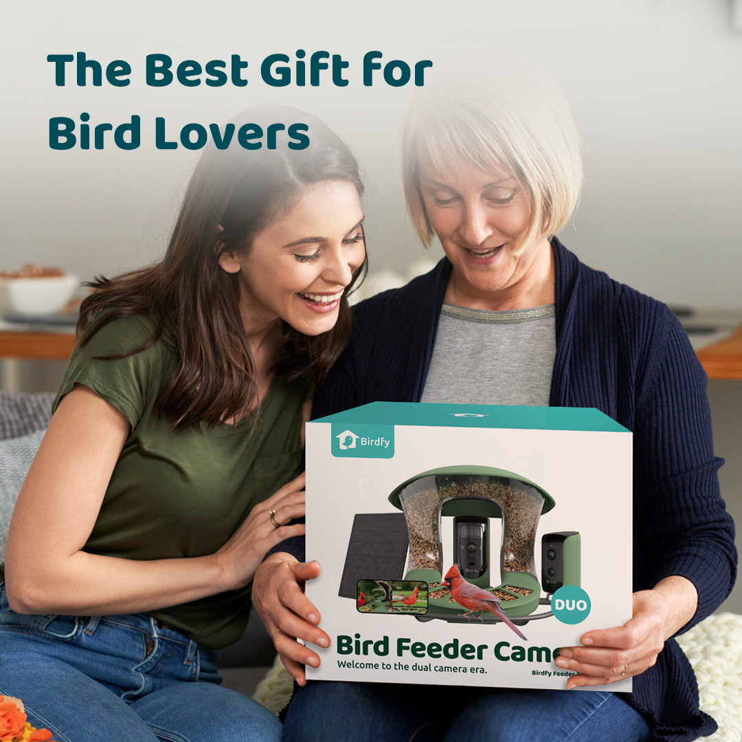 Birdfy Feeder 2 Duo - Bird Feeder Caméra