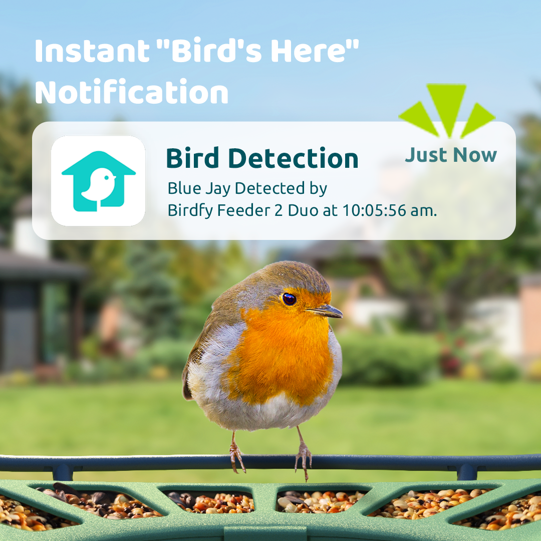 Birdfy Feeder 2 Duo - Bird Feeder Caméra