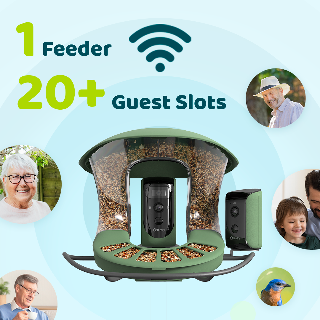 Birdfy Feeder 2 Duo - Bird Feeder Caméra