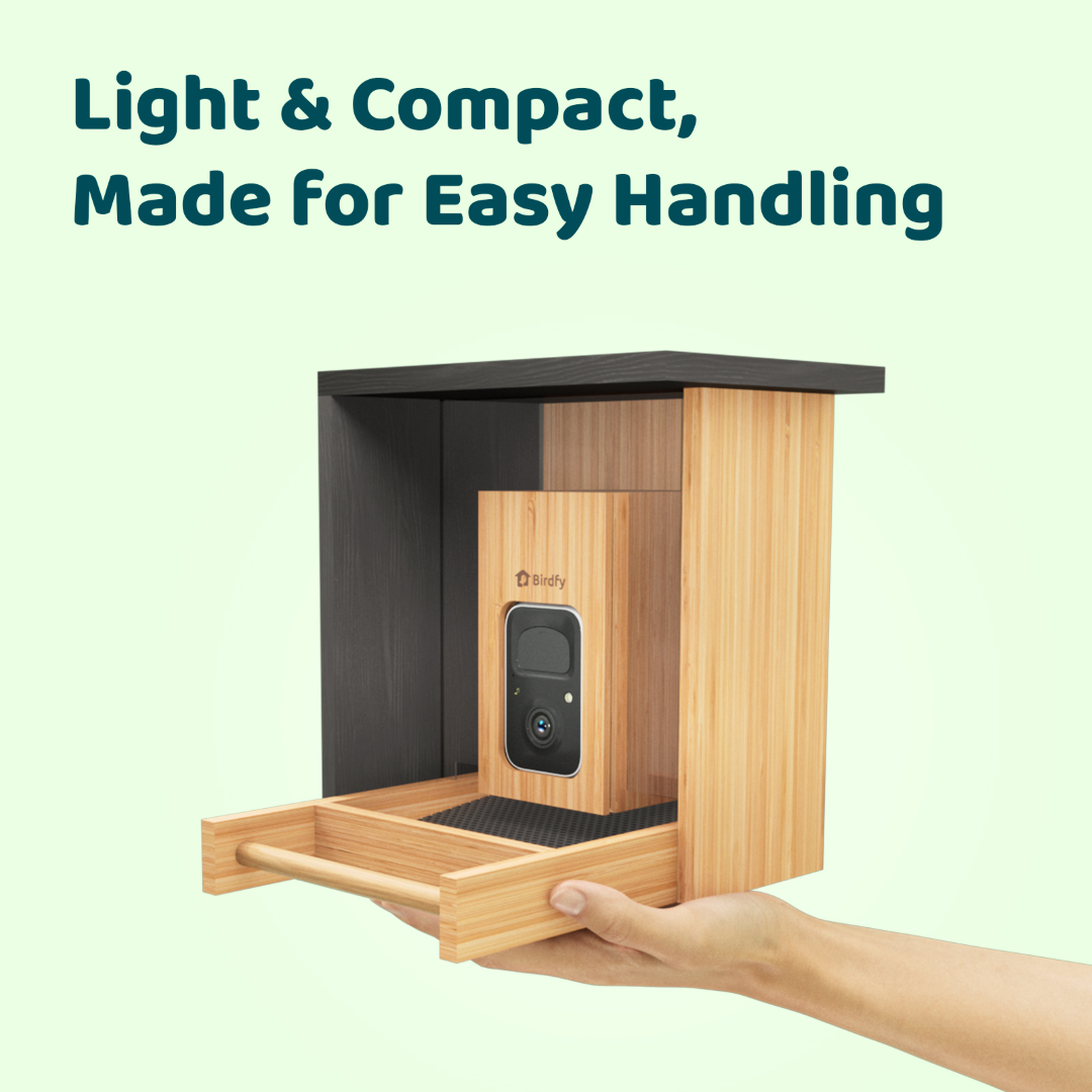 Birdfy Feeder Bamboo Mini - Mangeoire intelligente en matériau éco-responsable