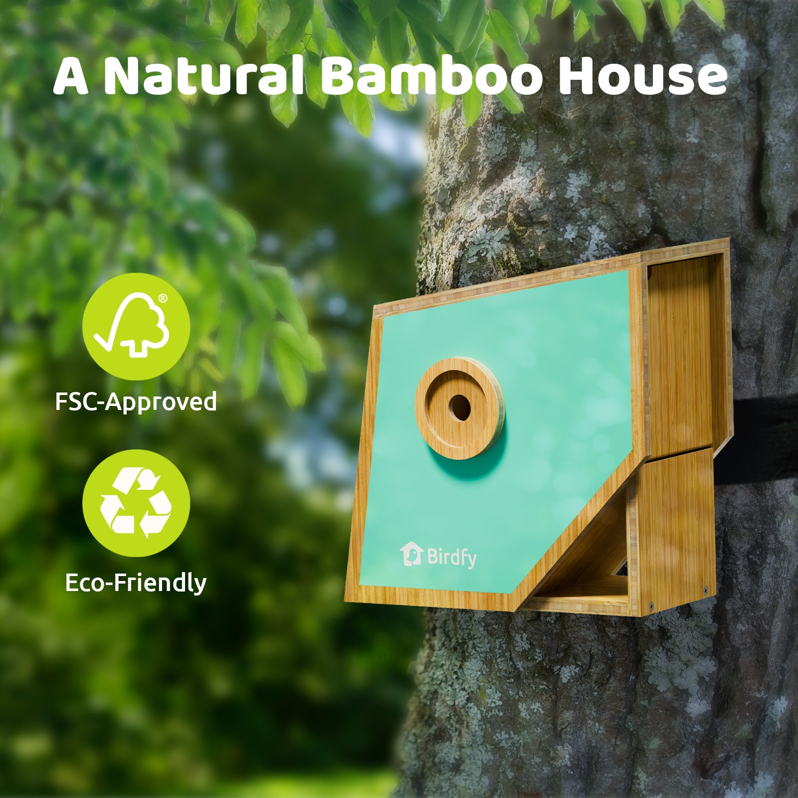 Birdfy Nest Polygon - Nichoir intelligent avec caméra