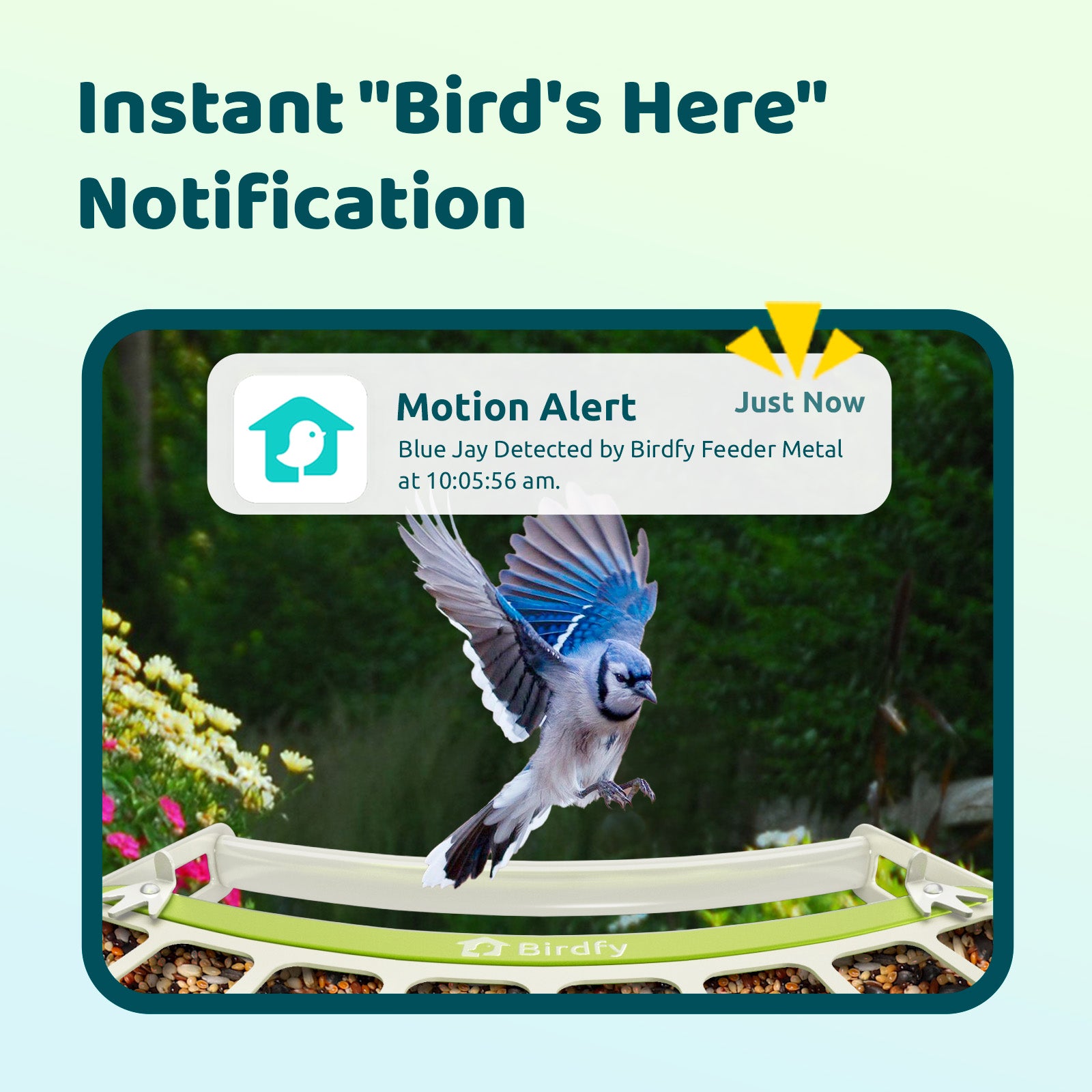 Birdfy Feeder Metal - Mangeoire à Oiseaux avec Caméra