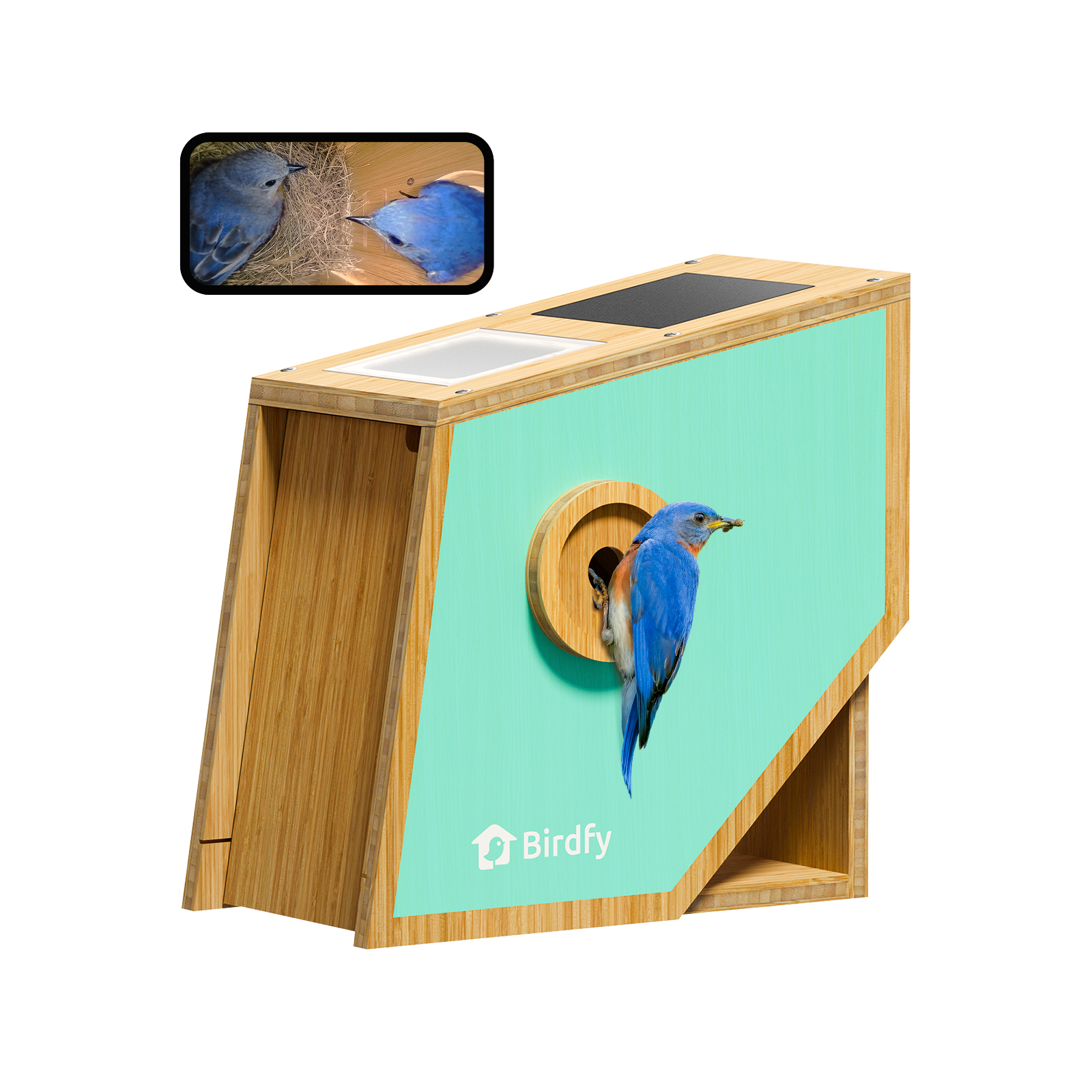 Birdfy Nest Polygon - Nichoir intelligent avec caméra