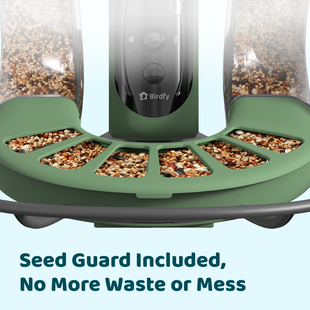 Birdfy Feeder 2 Duo - Bird Feeder Caméra