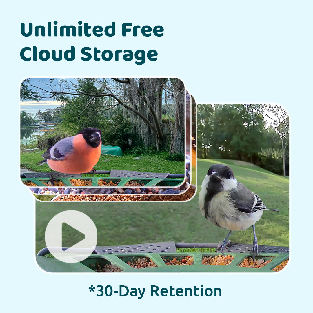 Birdfy Feeder 2 Pro - Mangeoire pour oiseaux avec Caméra HD