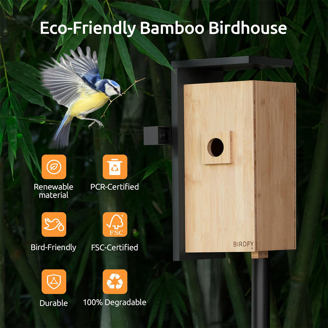 Birdfy Nest-Nichoir Nid pour Oiseaux avec double Caméras