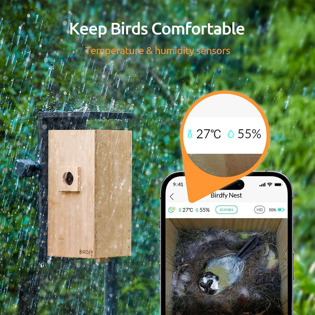 Birdfy Nest-Nichoir Nid pour Oiseaux avec double Caméras