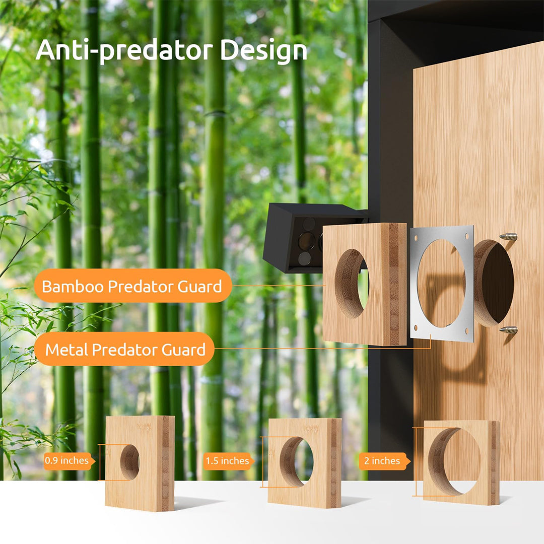Birdfy Nest Duo – Maison à Oiseaux Intelligente avec Double Caméra