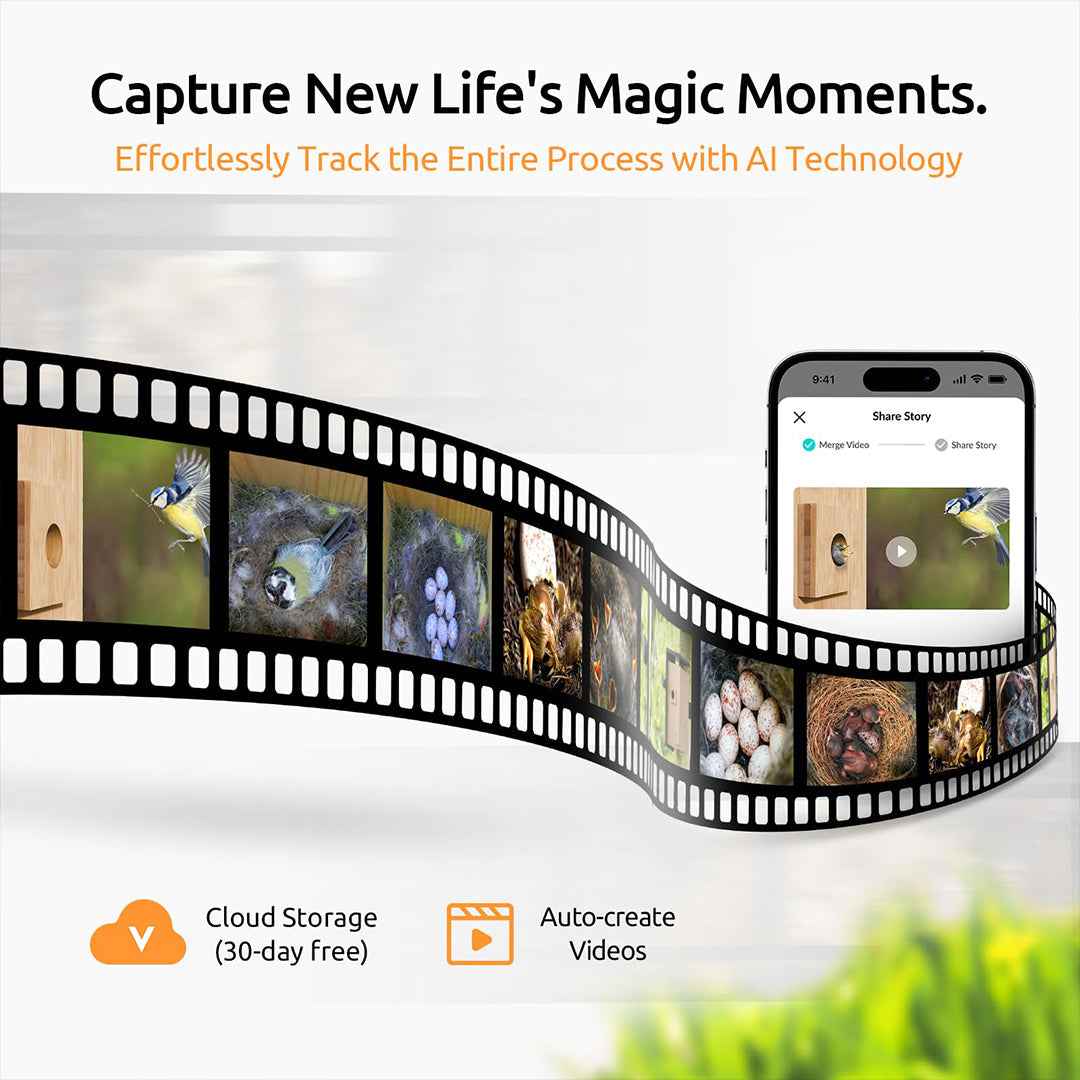 Birdfy Nest Duo – Maison à Oiseaux Intelligente avec Double Caméra