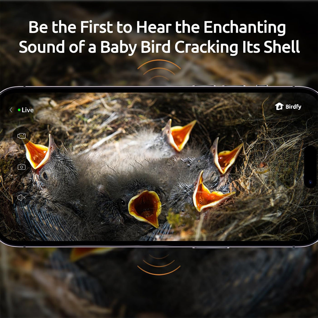 Birdfy Nest-Nichoir Nid pour Oiseaux avec double Caméras