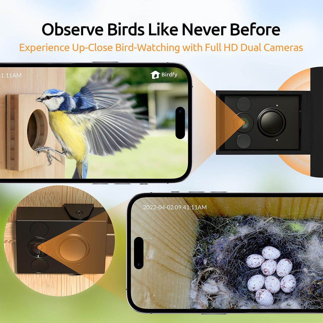 Birdfy Nest-Nichoir Nid pour Oiseaux avec double Caméras