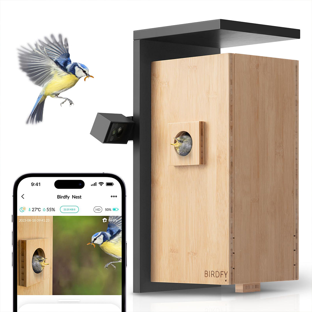 Birdfy Nest-Nichoir Nid pour Oiseaux avec double Caméras