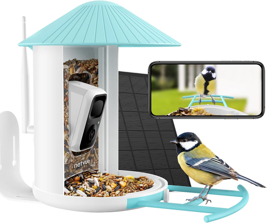 Birdfy Feeder avec panneau solaire - Mangeoire à Oiseaux avec Caméra
