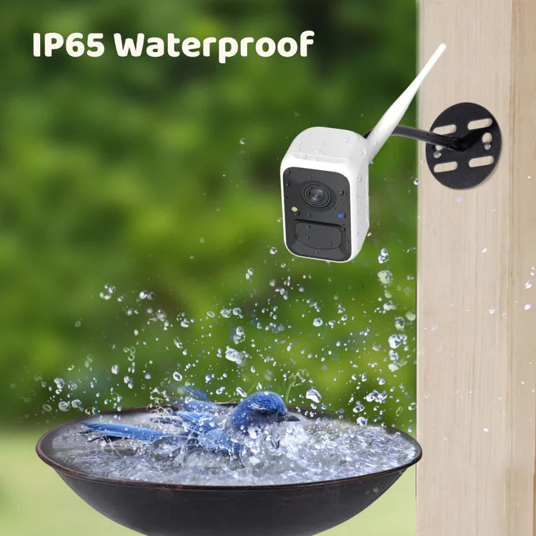 Birdfy Cam - Caméra d'observation des oiseaux polyvalente autonome pour jardin