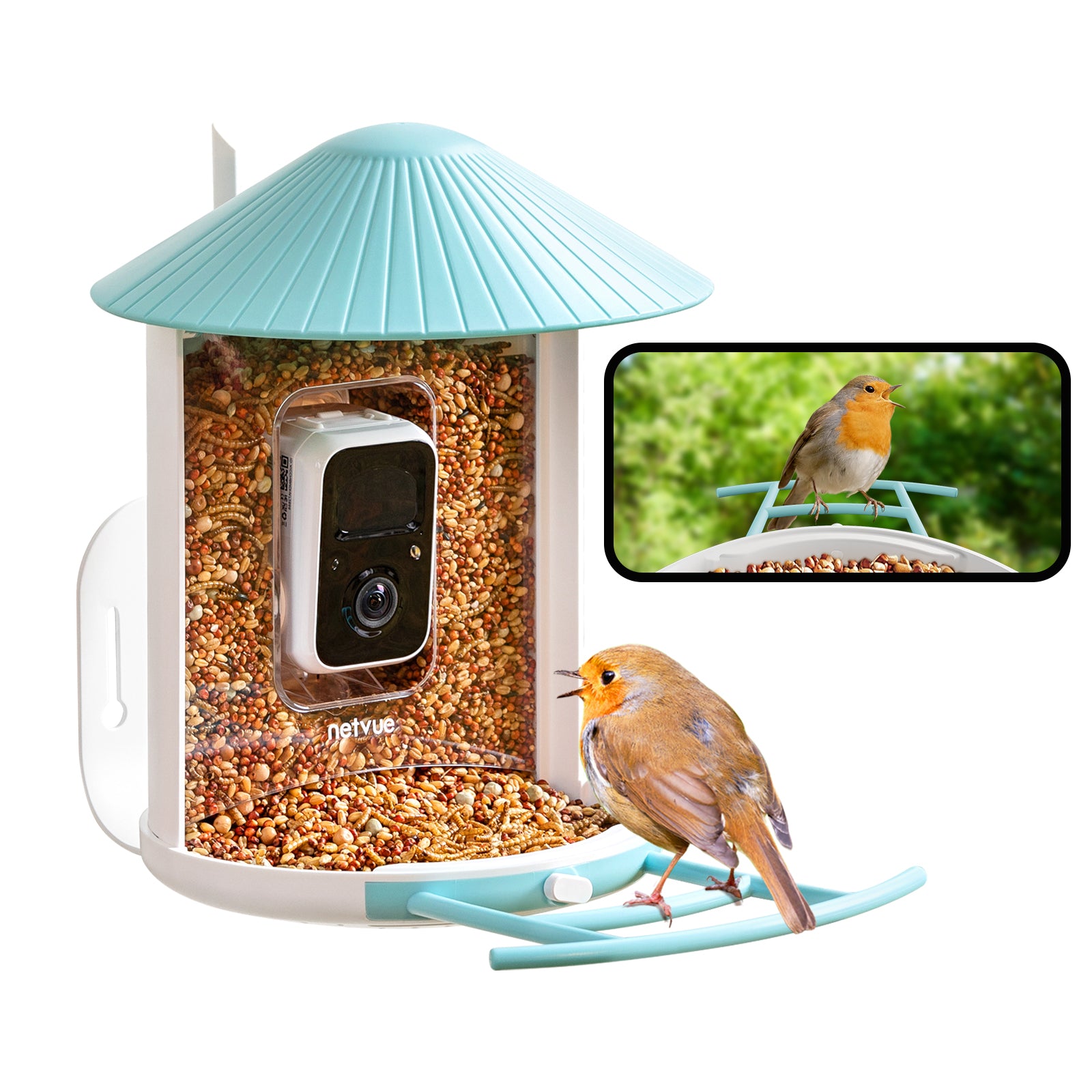 Birdfy Feeder - Mangeoire à Oiseaux avec Caméra