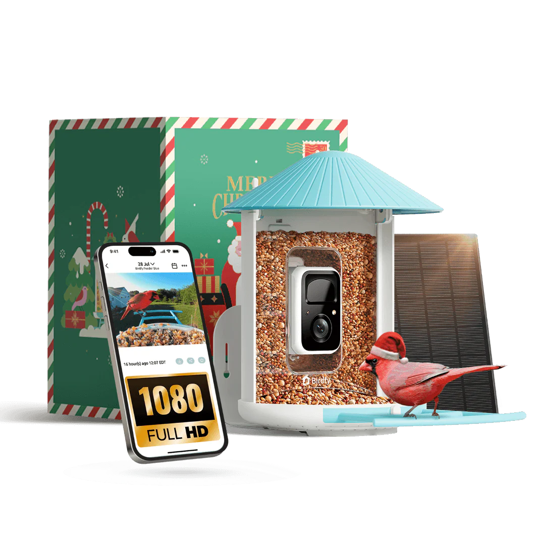 Birdfy Feeder avec panneau solaire - Mangeoire à Oiseaux avec Caméra