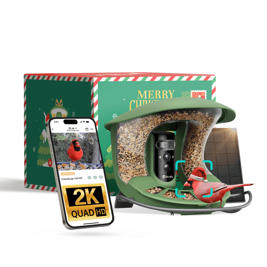 Birdfy Feeder 2 Pro - Mangeoire pour oiseaux avec Caméra HD