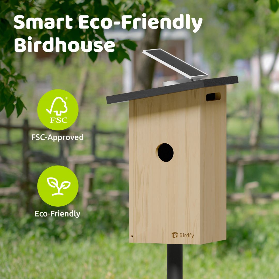 Birdfy Nest Ebony – Cabane à Oiseaux Intelligente en bois