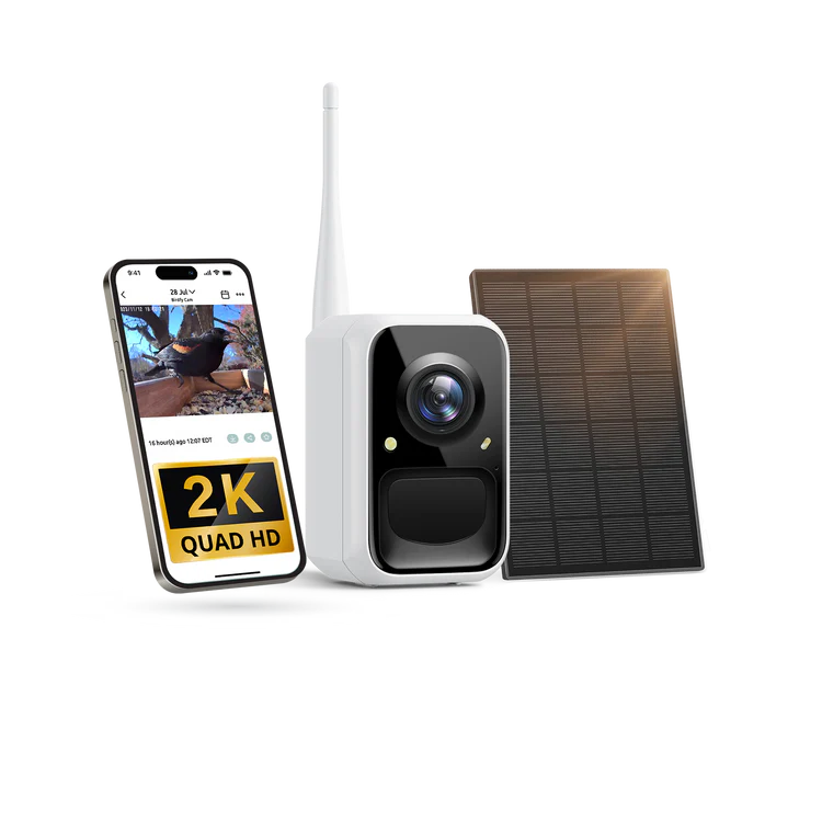 Birdfy Cam - Caméra d'observation des oiseaux polyvalente autonome pour jardin