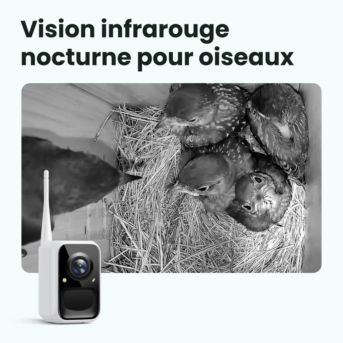 Birdfy Nest Wood – Cabane à Oiseaux Intelligente en bois
