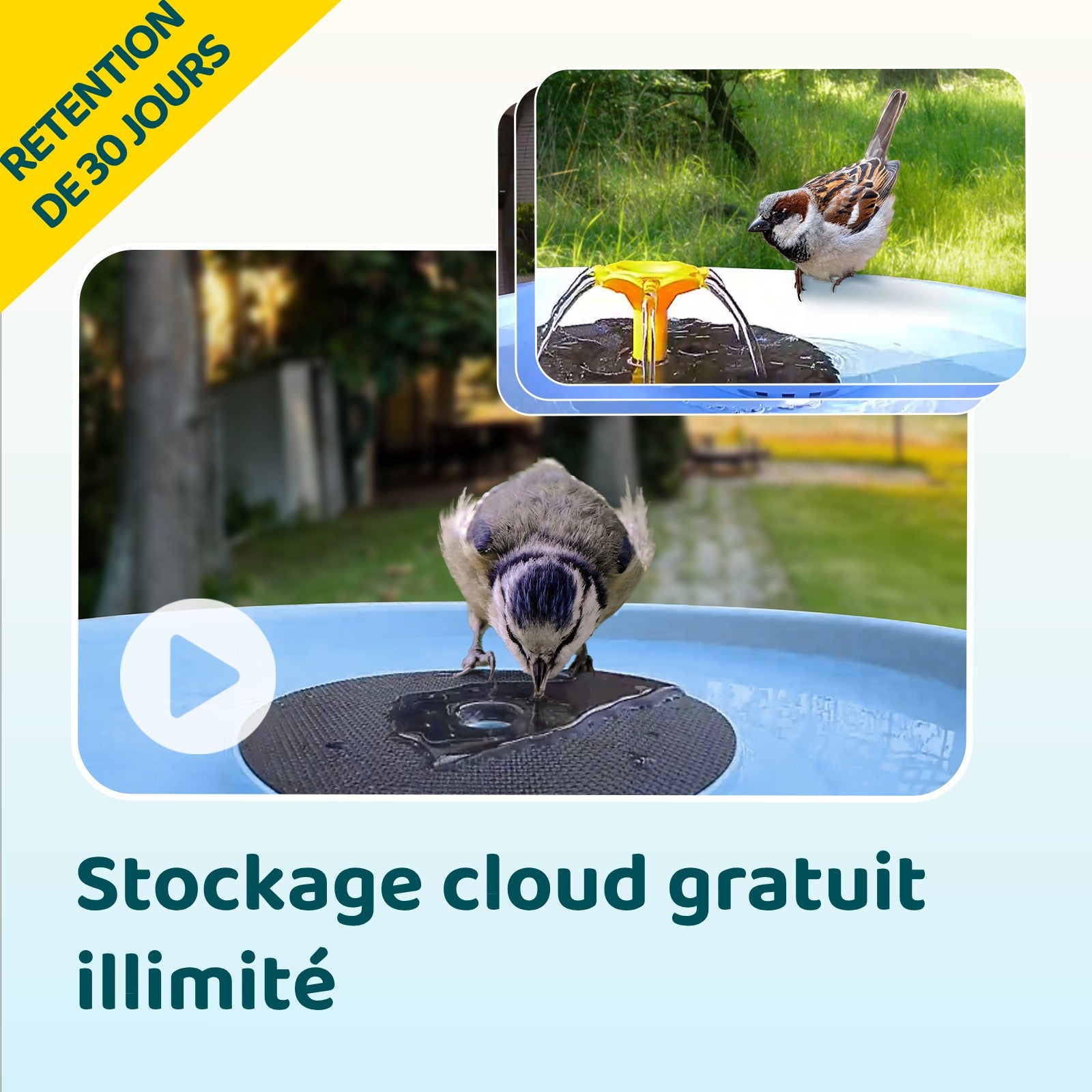 Birdfy Bath Pro - Fontaine à oiseaux intelligente avec caméra