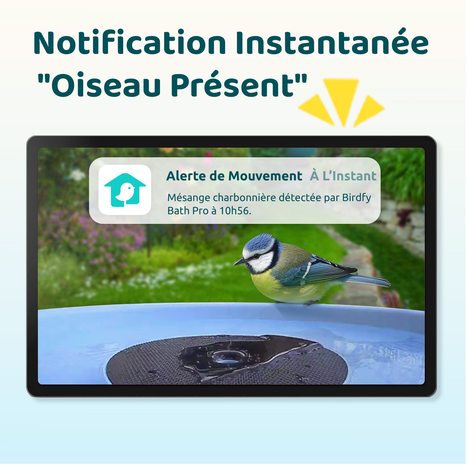 Birdfy Bath Pro - Fontaine à oiseaux intelligente avec caméra