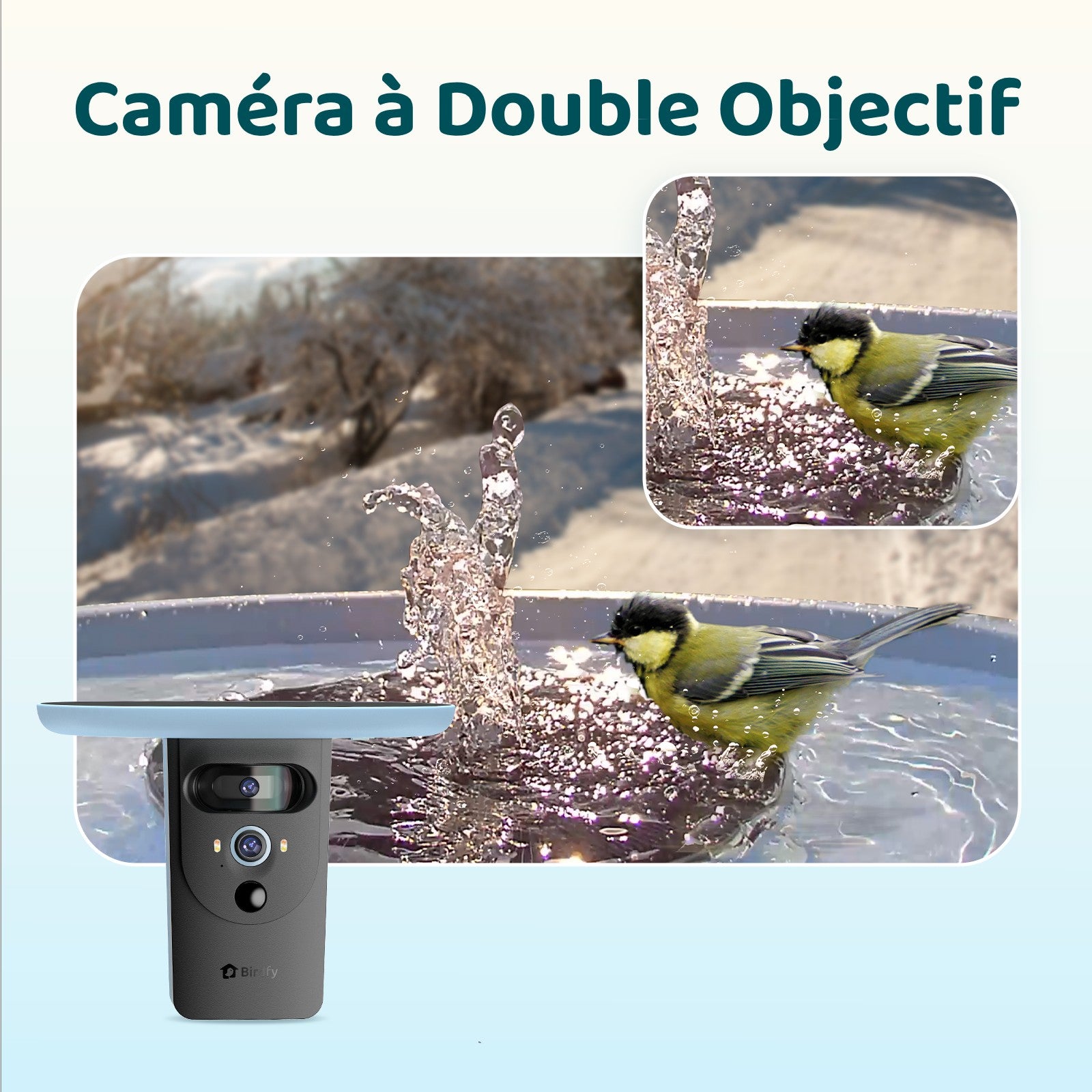 Birdfy Bath Pro - Fontaine à oiseaux intelligente avec caméra