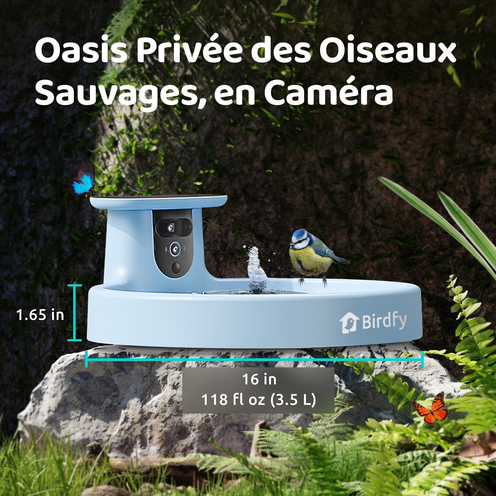 Birdfy Bath Pro - Fontaine à oiseaux intelligente avec caméra