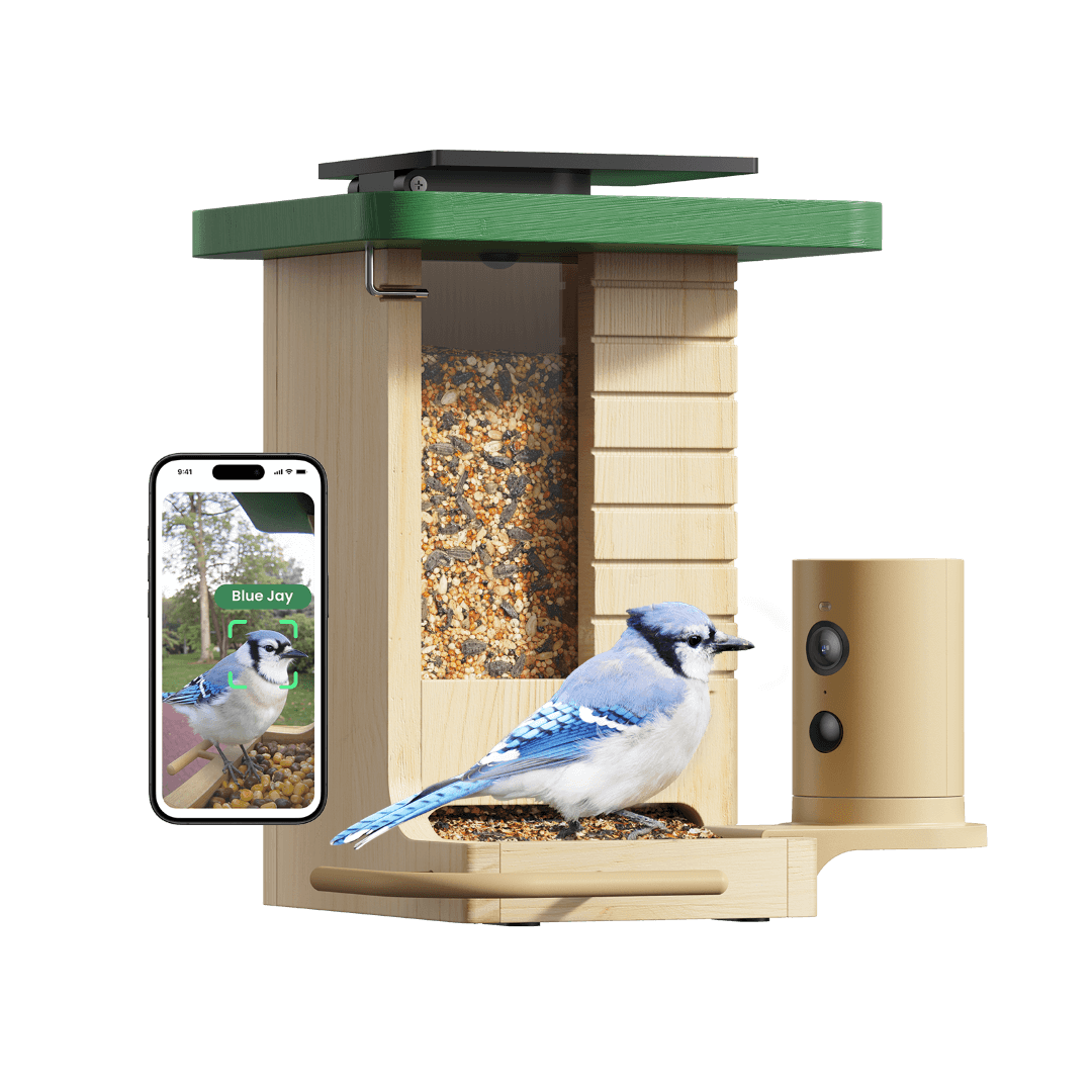 Birdfy Feeder Wood – Mangeoire à Oiseaux Intelligente en Bois avec Caméra
