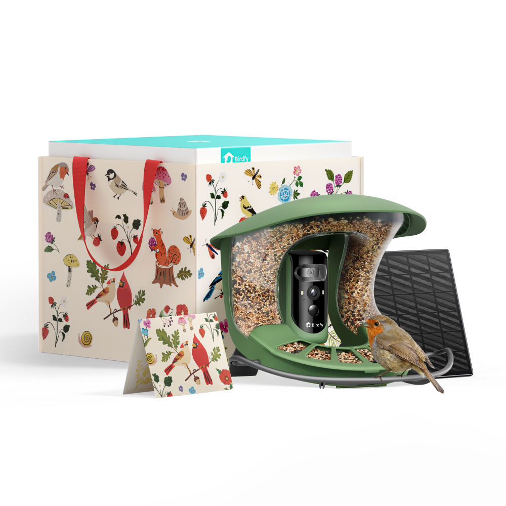 Birdfy Feeder 2 Pro - Mangeoire pour oiseaux avec Caméra HD (Édition Cadeau)