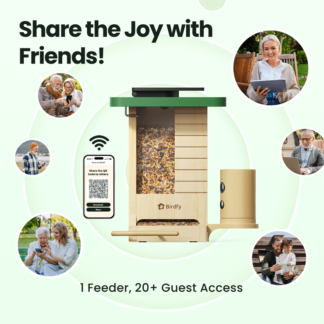 Birdfy Feeder Wood – Mangeoire à Oiseaux Intelligente en Bois avec Caméra
