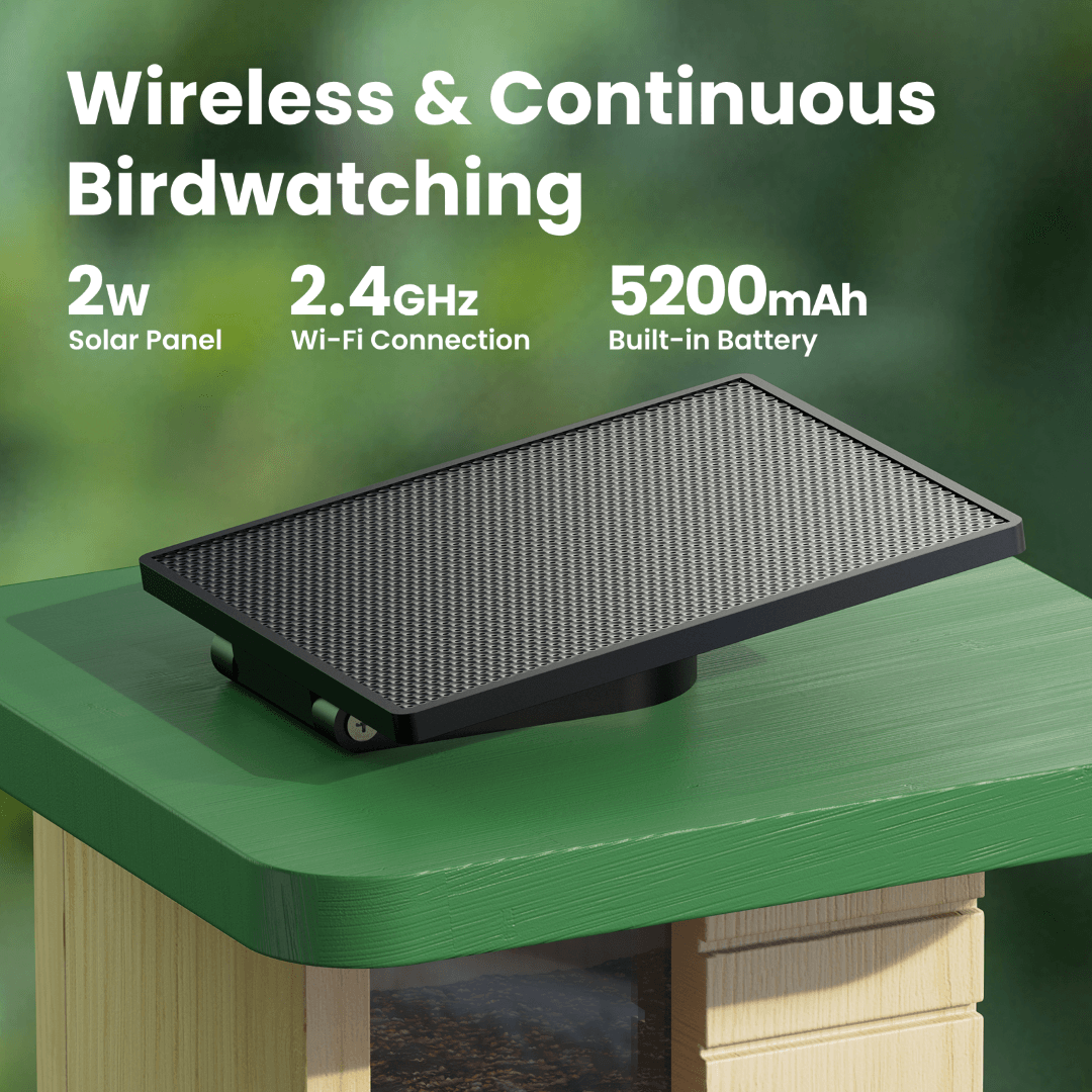 Birdfy Feeder Wood – Mangeoire à Oiseaux Intelligente en Bois avec Caméra