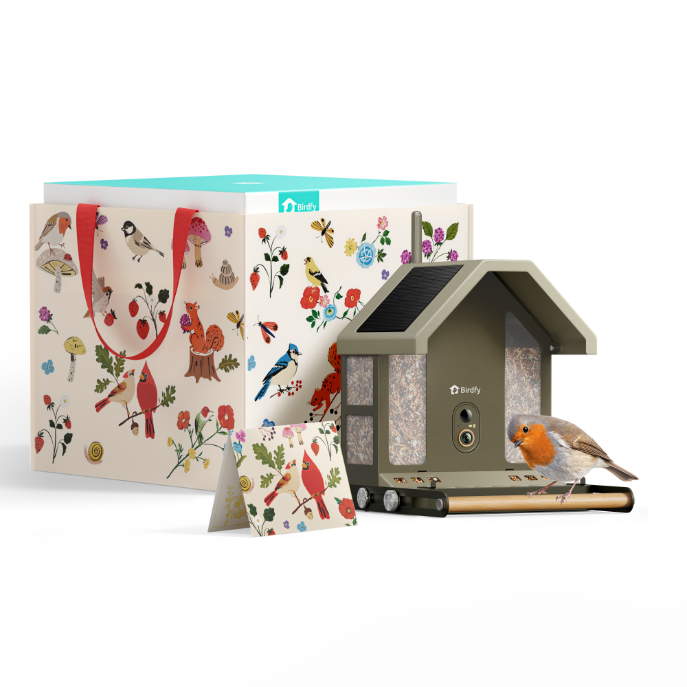 Birdfy Feeder Metal 2 - Mangeoire Métallique Anti‑Rongement 4K Pour Oiseaux (Édition Cadeau)