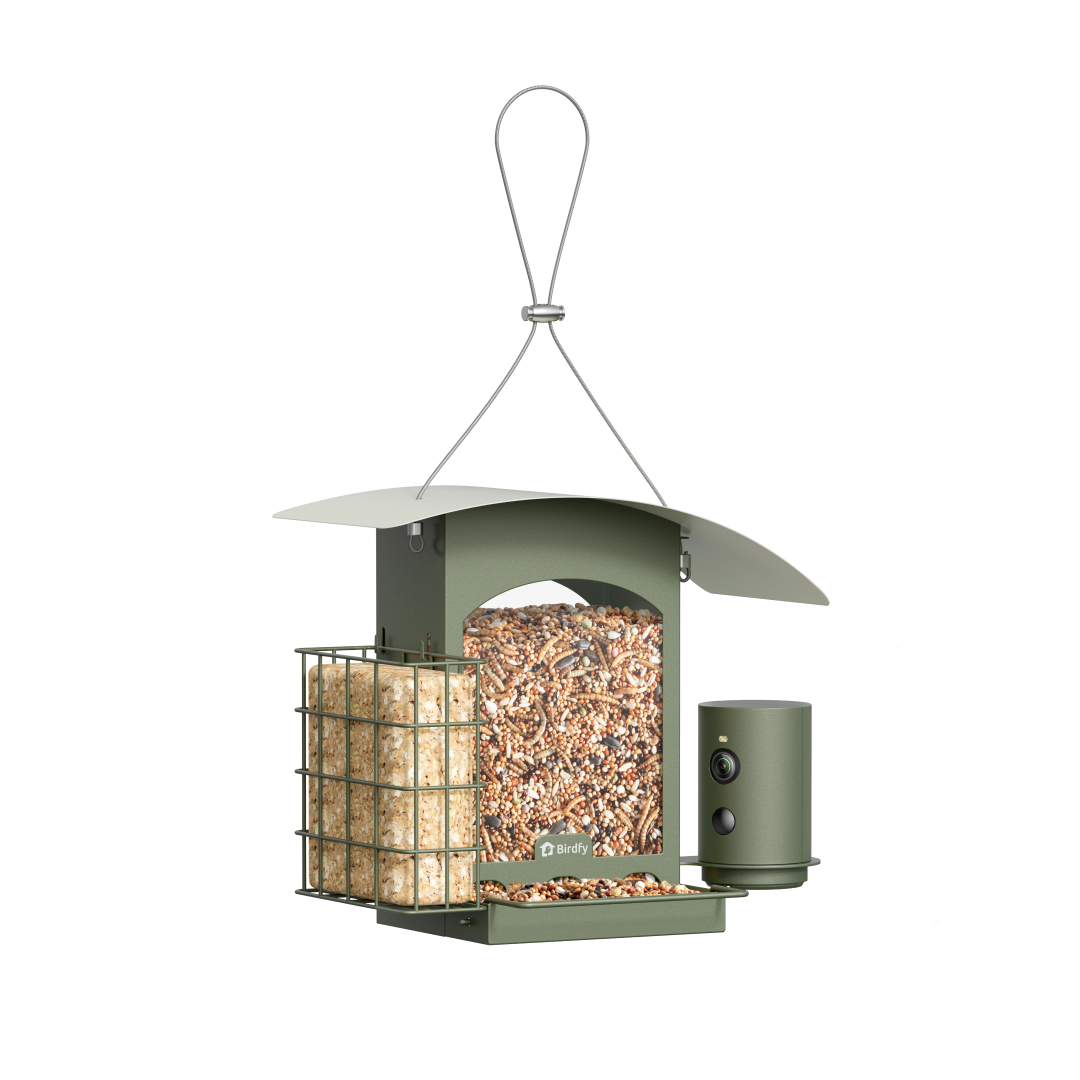 Birdfy Feeder Metal A - Mangeoire à Oiseaux avec Caméra